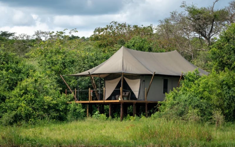 7 Day Land of a Thousand Hills Rwanda Gorilla & Safari Tour